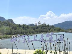 -王莽岭风景区