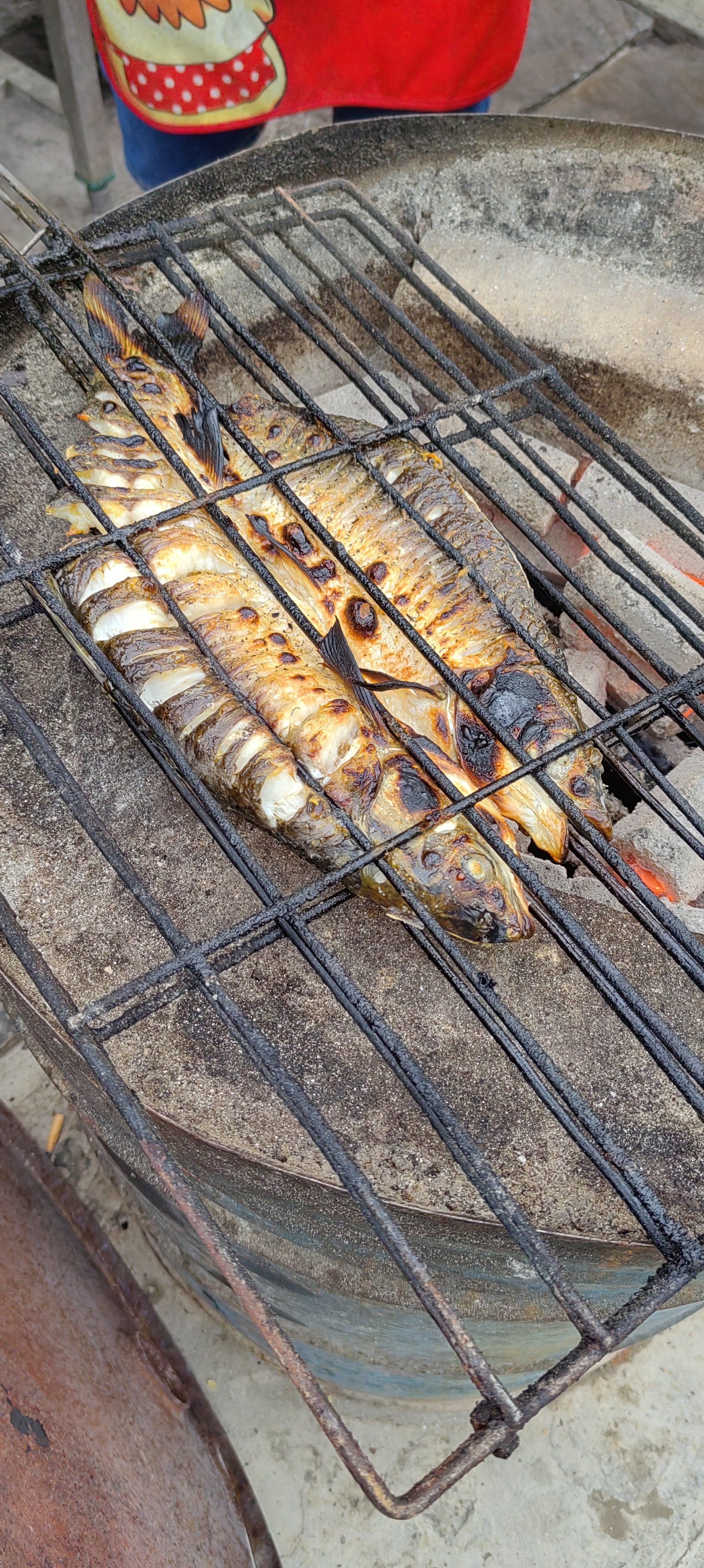 正码头江边炭火烤鱼