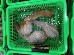 -七鲜渔港美食餐厅(巽寮湾海景店)
