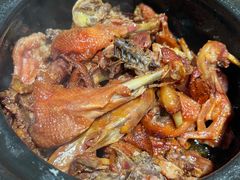 姜母鸭-斯丹姜母鸭·古法干香(涂门街总店)