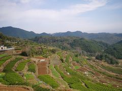 -乌石村