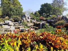 -东莞植物园