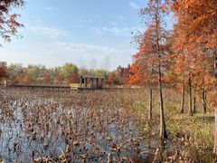 -溱湖国家湿地公园