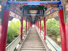 -兰山公园