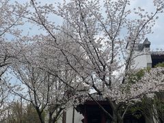 -堤角公园