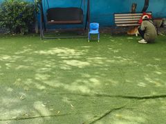 -宠物寄养训练学校