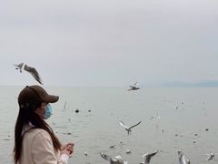 -滇池海埂公园
