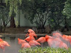 -石家庄市动物园