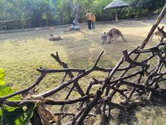 -泉州海丝野生动物世界