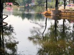 -顺鑫绿色度假村