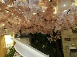 -逸丝风尚
