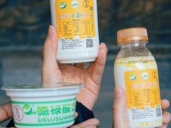 -德禄酸奶(莫家街店)