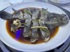 -渔人码头蒸汽海鲜(虬泾路店)