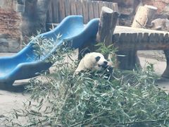 -石家庄市动物园