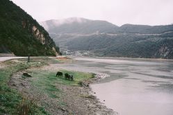-纳帕海依拉草原
