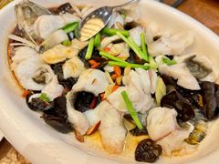 -龙悦湾酒家·八阵鱼生·渔人码头店