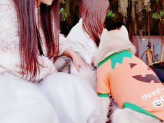 -Husky Go! 哈士奇体验馆·宠物咖啡厅狗咖