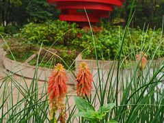 -深圳国际园林花卉博览园