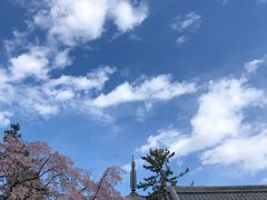 -醍醐寺