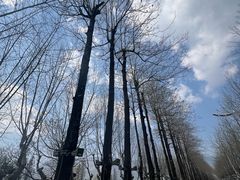 -滇池海埂公园