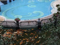 -星河湾酒店-康体中心