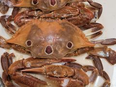 -宜宾海鲜酒家·三十年老字号