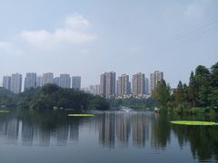 -重庆彩云湖湿地公园