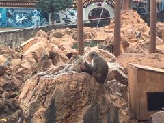 -昆明动物园