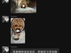 -爱妮康宠物医院·干细胞免疫细胞·肿瘤·心脏(张江店)