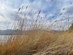 -野鸭湖国家湿地公园