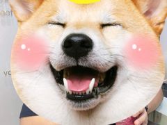 -雅克雅思(南湖东路店)