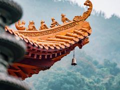 -深圳市中科院仙湖植物园