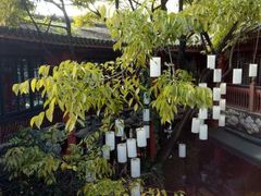 -醉云喃