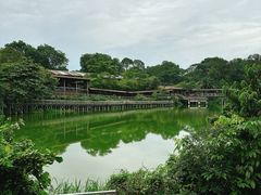 -河川生态园