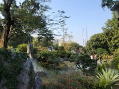 -东莞植物园