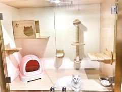 -Double Rui宠物酒店