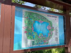 -莲花池公园