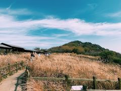 -白草畔自然风景区