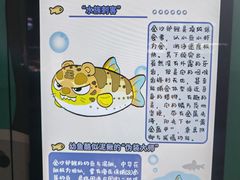 -海合安成都极地海洋公园