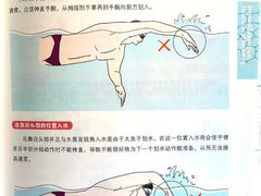 -陕西省游泳跳水馆