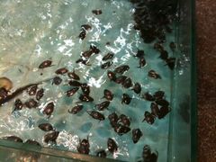 iphone_upload_pic-渔民新村(番禺总店)