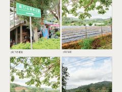 -凤岗南门山森林公园