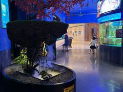 -1718海鲜姿造(苏宁宴请臻选店)