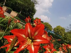-白塘生态植物园
