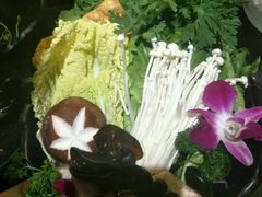 吊龙-手选潮汕鲜活牛肉火锅(二七广场店)