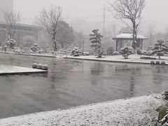 -金陵中学(河西分校)