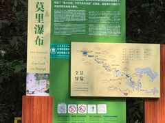 -莫里热带雨林景区