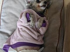 -酷宠动物医院(天通西苑店)