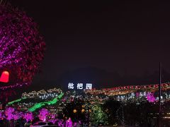 -枇杷园食为鲜火锅(南山店)