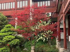 -祝家花園(伯渎港店)